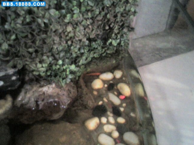 IMG0758A.jpg