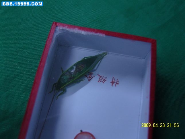 照片 450.jpg