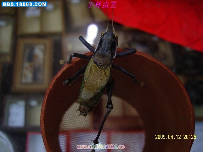 照片 371.jpg