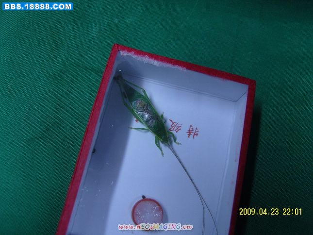 照片 455.jpg