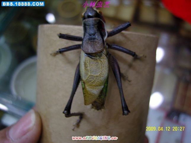 照片 376.jpg