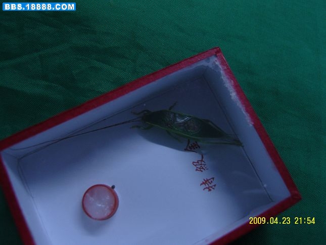 照片 449.jpg