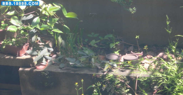 DSCN2440.JPG