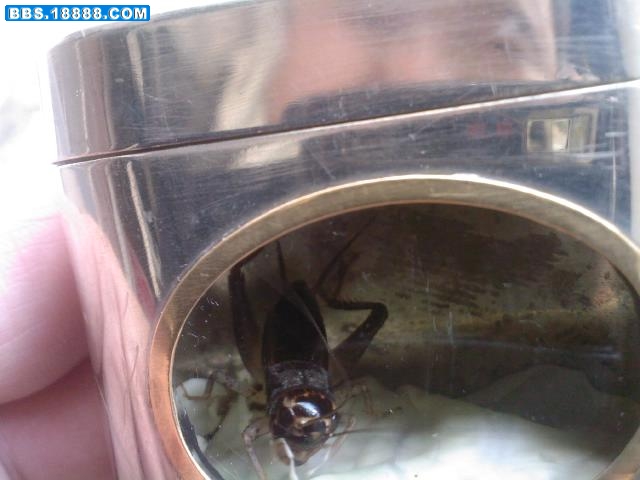 20090421143153.jpg
