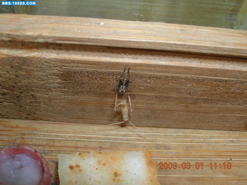 DSCN2618.JPG