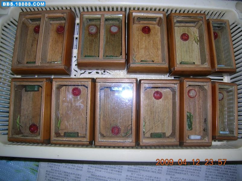 DSCN3315.JPG
