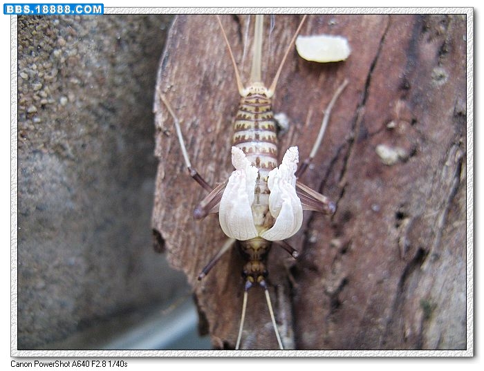 nEO_IMG_照片 063.jpg