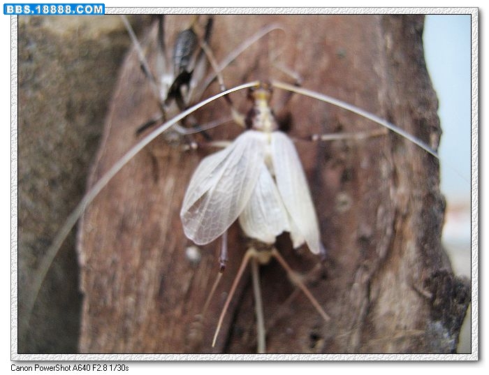 nEO_IMG_照片 078.jpg