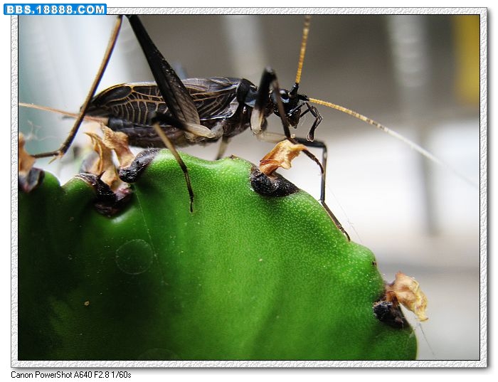 nEO_IMG_照片 157.jpg