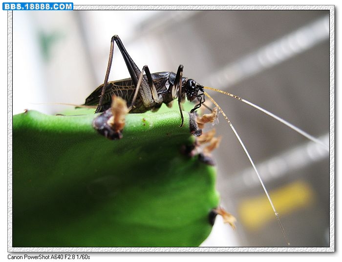 nEO_IMG_照片 154.jpg