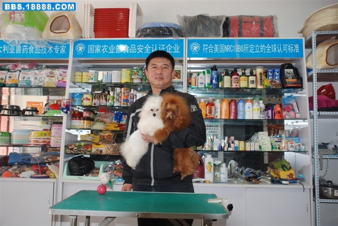 我和狗1.jpg