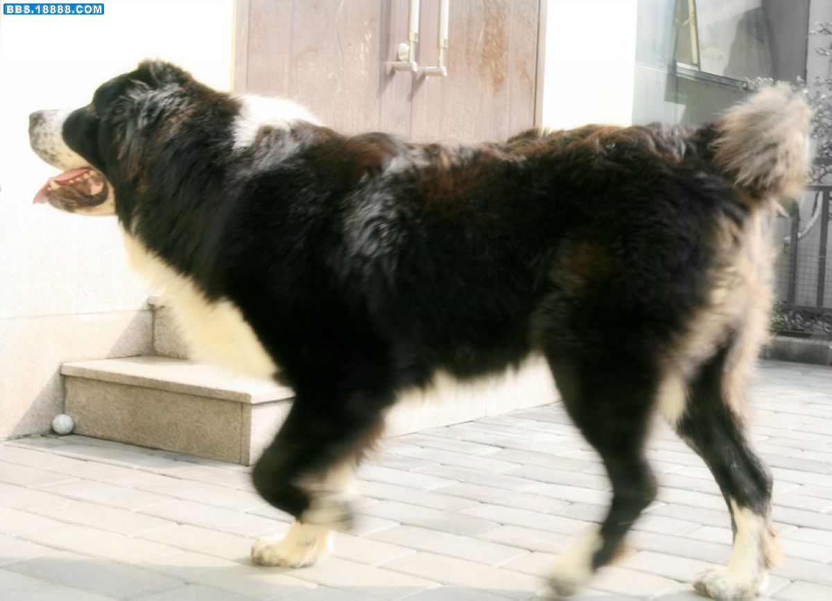 jia 0621.jpg