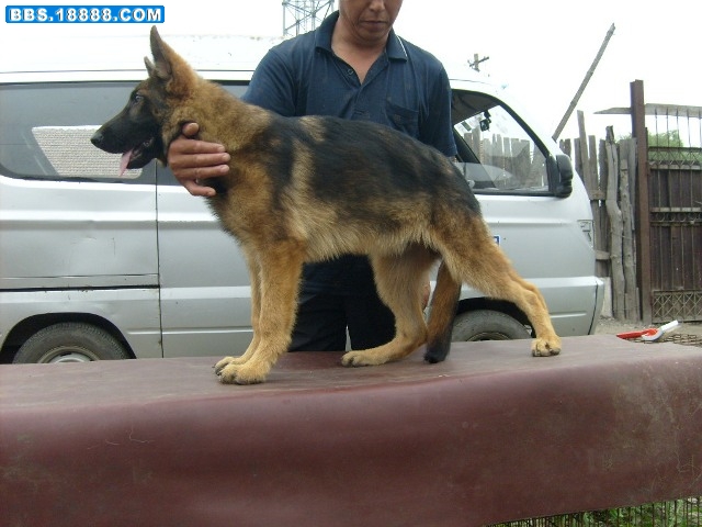 20089819512288549.jpg