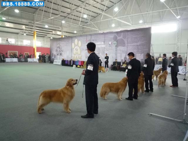 P1010021.JPG