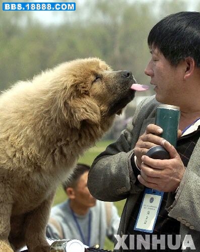 来，亲一个.jpg