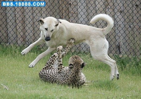 20090310_0066a7cb017a43e4fe2dBX3kKQ3pTSOT.jpg