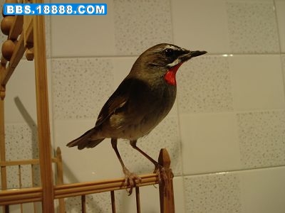 DSC03121.JPG