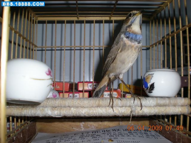 DSCN6590.JPG