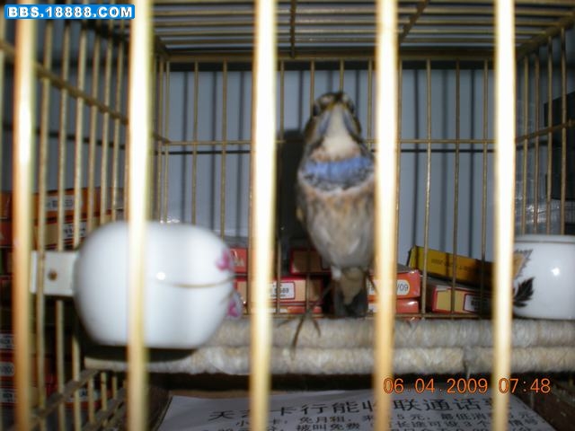 DSCN6585.JPG