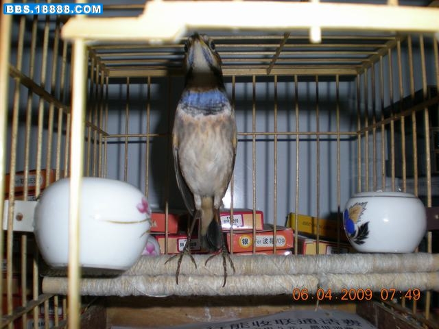 DSCN6589.JPG