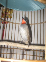 IMG_1365_001.jpg