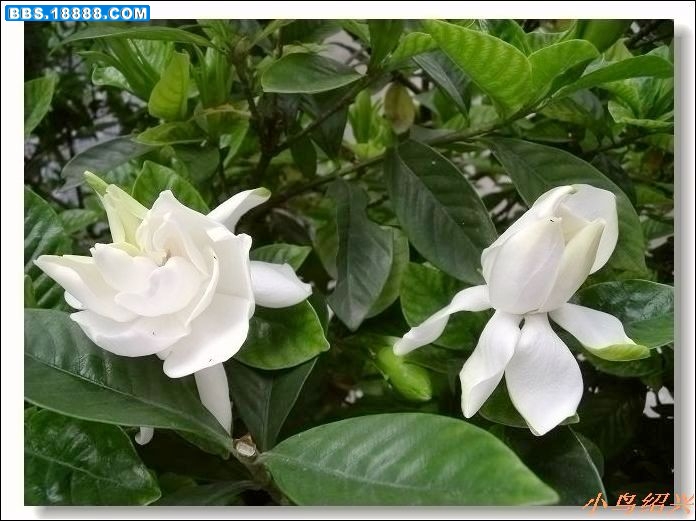 DSCF2537.jpg