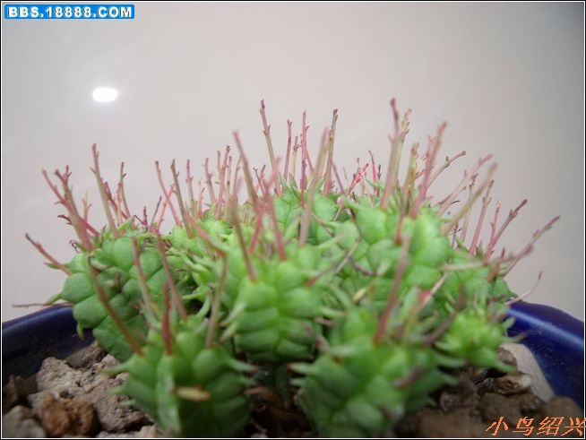 DSCF2364.jpg