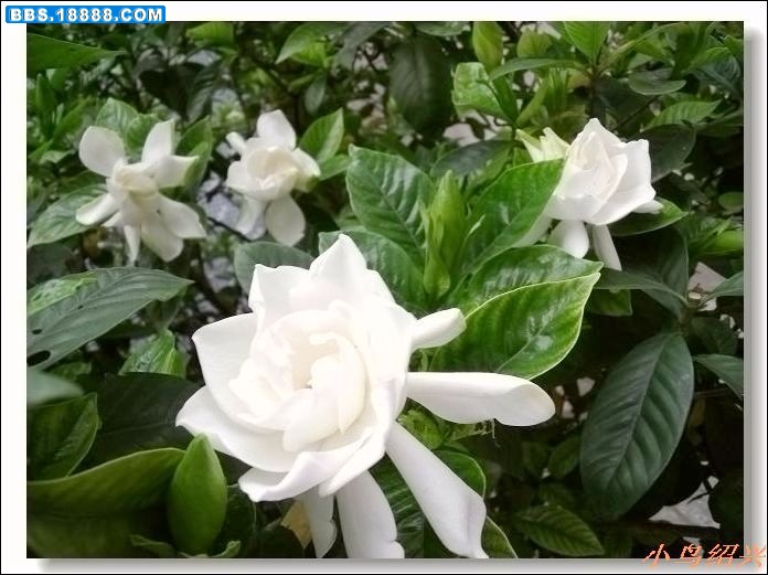 DSCF2534.jpg