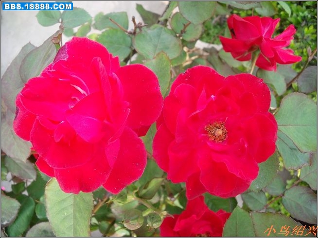 DSCF2192.jpg
