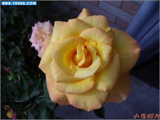 DSCF2313.jpg