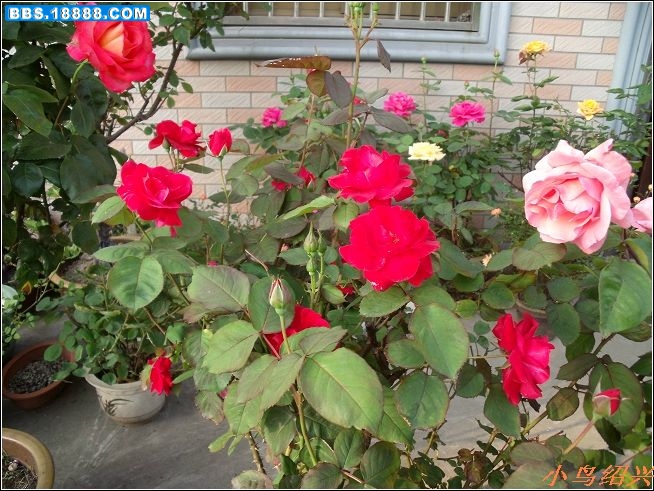 DSCF2187.jpg