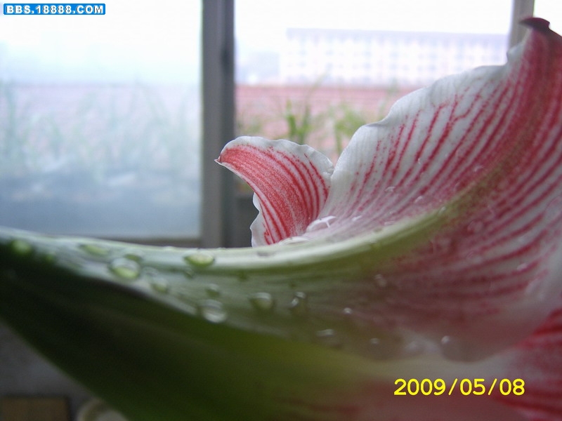 SA500164.JPG