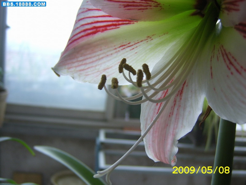 SA500166.JPG