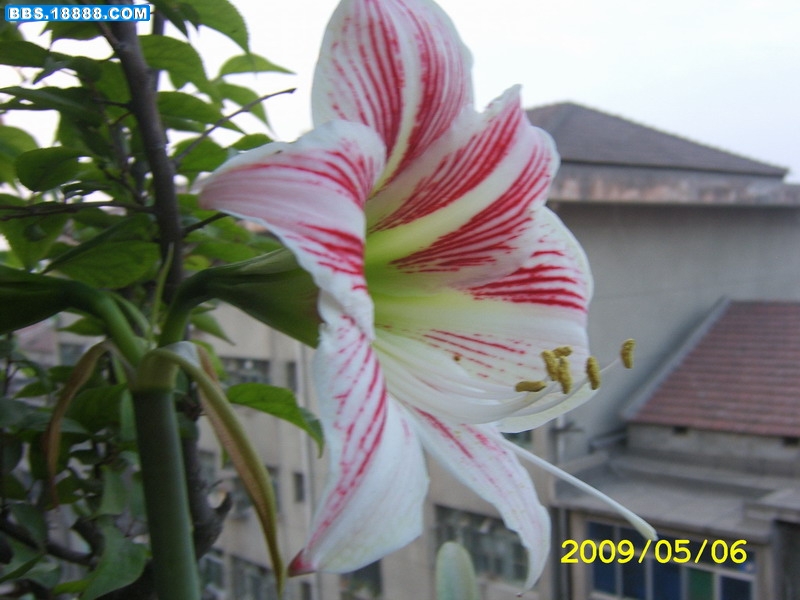 SA500052.JPG