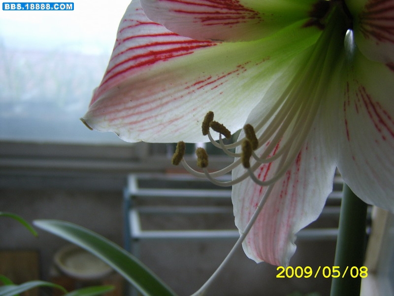 SA500162.JPG