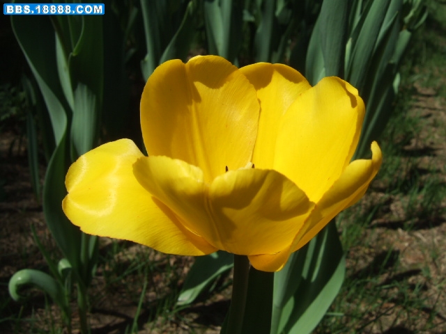 DSCF2262.JPG