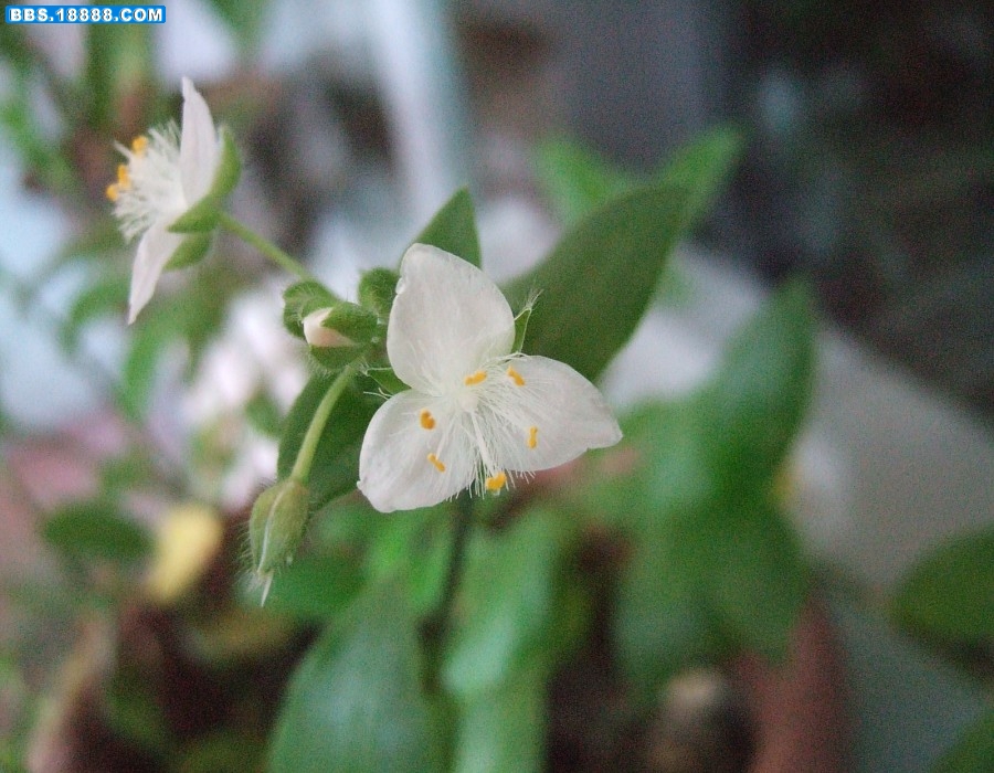 images003.jpg