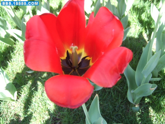 DSCF2071.JPG