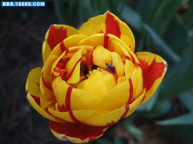 DSCF2661.JPG