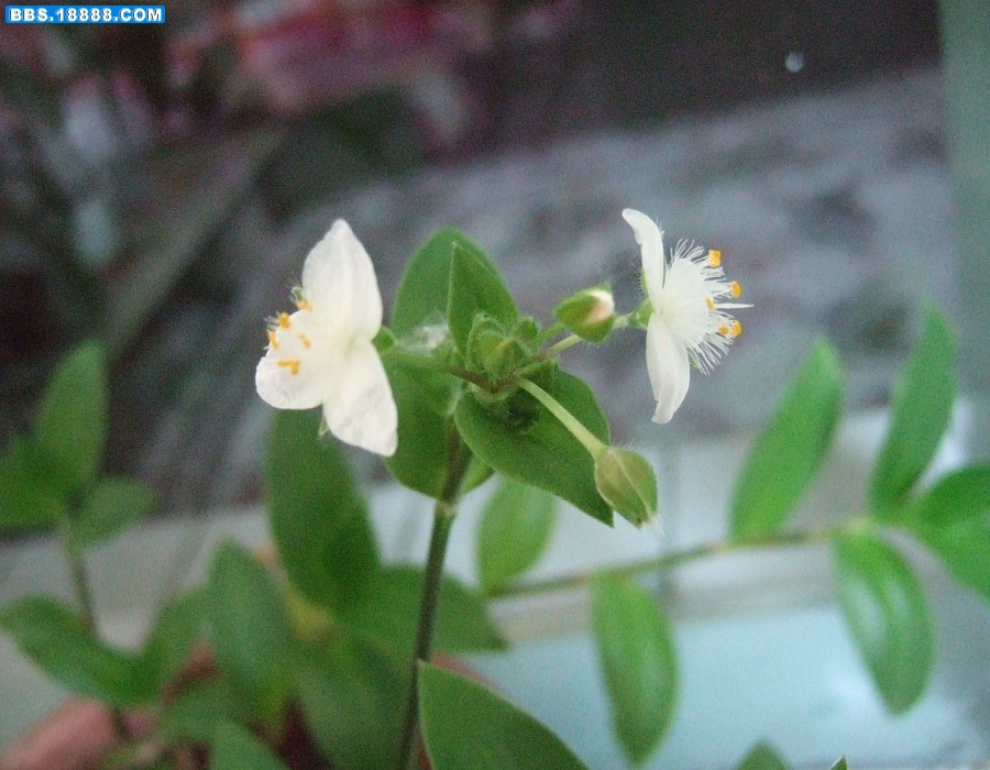 images012.jpg