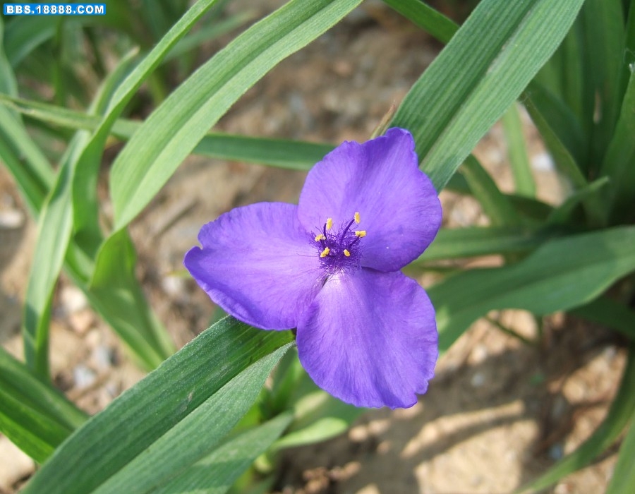 images001.jpg