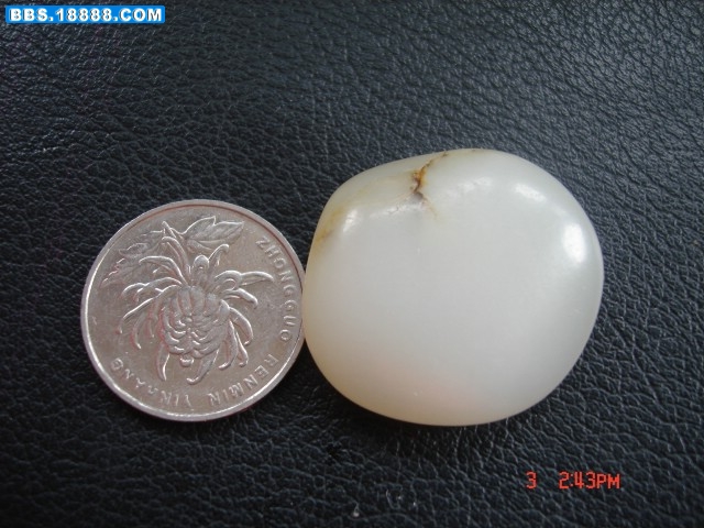 DSC04649.jpg