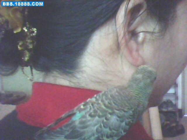 IMG0182A.jpg