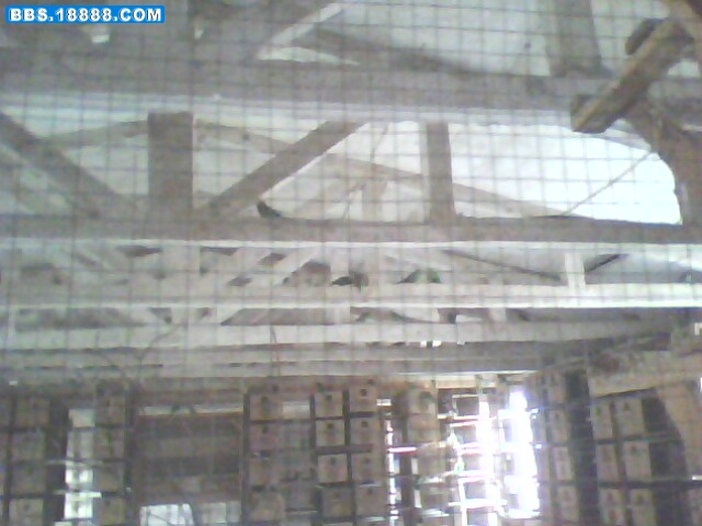 IMG0162A.jpg