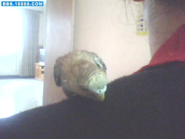 IMG0177A.jpg