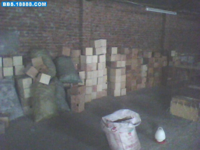 IMG0155A.jpg