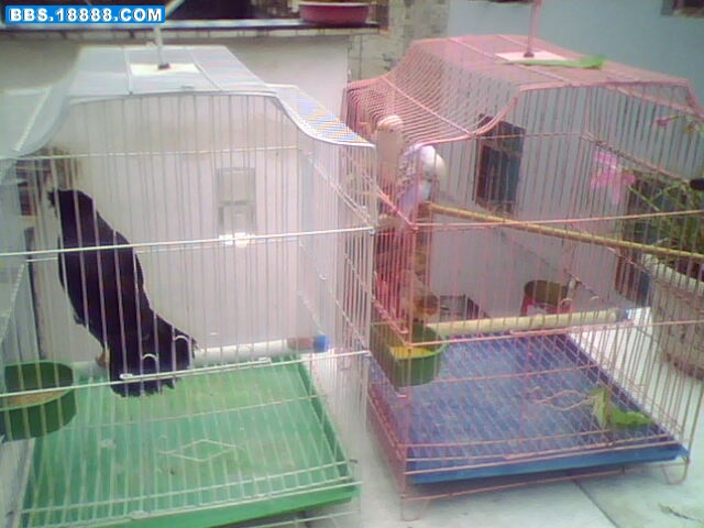 IMG0088A.jpg