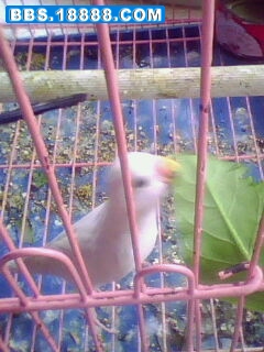 IMG0055A.jpg
