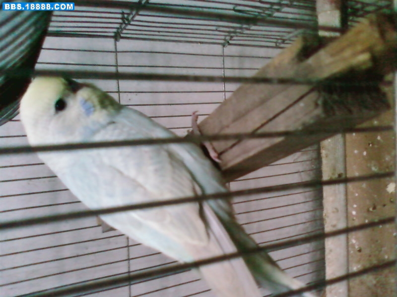 20090513(002).jpg