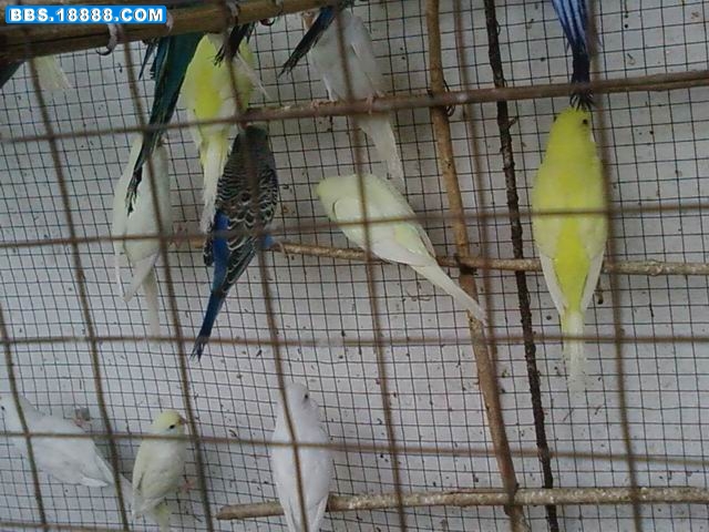 调整大小 20090503(084).jpg